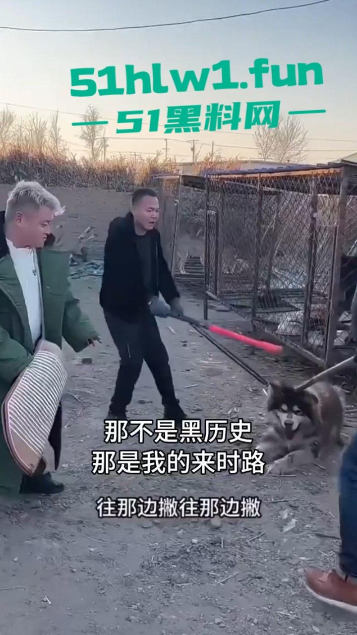 网红狗艾特疑遭训狗师【潘宏】虐待致死,女明星陈乔恩蹭热点带节奏被网友骂上热搜。-7